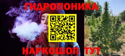 Альфа ПВП Малгобек