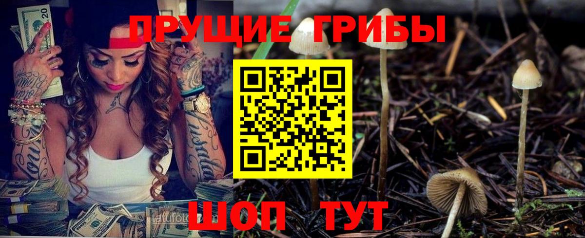 Галлюциногенные грибы прущие грибы  Галлюциногенные грибы Psilocybine cubensis  Хасавюрт  наркотики  Вход с VPN 